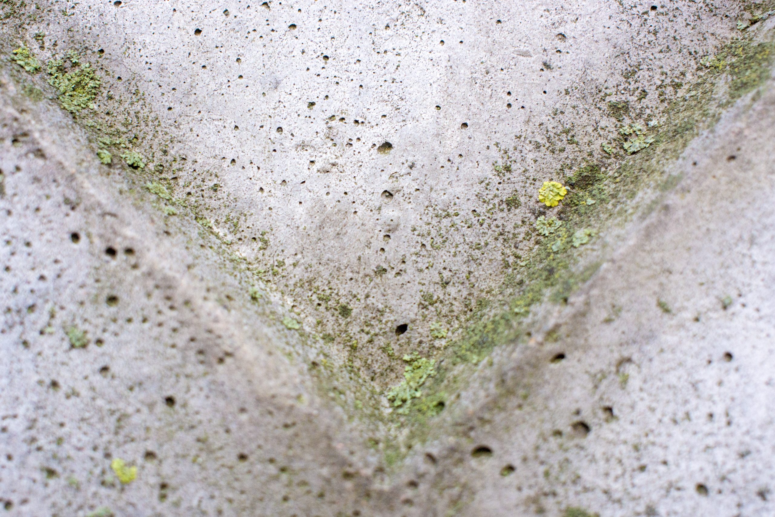 angle down Background. Abstract geometric background of the concrete. Mould and Moisture